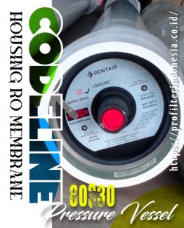 CodeLine 80S30 Housing RO Membrane 8 Inch 300 PSI