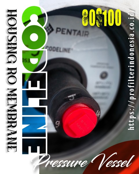 CodeLine 80S100-2 Housing RO Membrane 8 Inch 1000 PSI – 2 Element CodeLine 80S100-2 Housing RO Membrane 8 Inch 1000 PSI – 2 Element