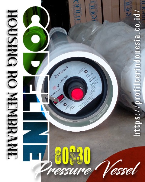 CodeLine 80S30-5 Housing RO Membrane 8 Inch 300 PSI – 5 Element CodeLine 80S30-5 Housing RO Membrane 8 Inch 300 PSI – 5 Element