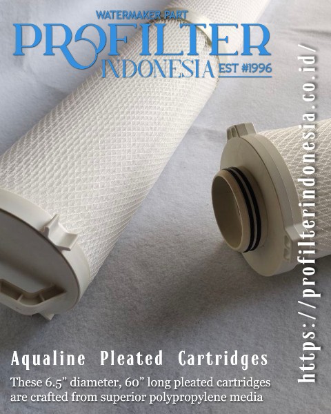 Aqualine ALN High Flow Filter Cartridge Pentair Aqualine ALN High Flow Filter Cartridge Pentair