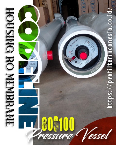 CodeLine 80S100-4 Housing RO Membrane 8 Inch 1000 PSI – 4 Element CodeLine 80S100-4 Housing RO Membrane 8 Inch 1000 PSI – 4 Element