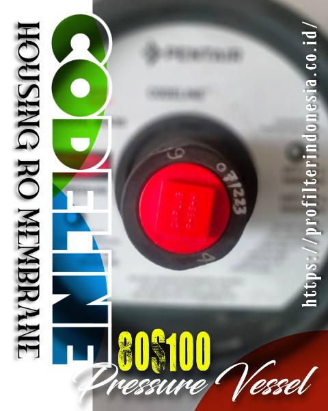 CodeLine 80S100-6 Housing RO Membrane 8 Inch 1000 PSI – 6 Element CodeLine 80S100-6 Housing RO Membrane 8 Inch 1000 PSI – 6 Element